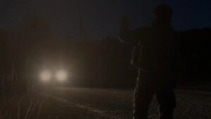 dayZ night