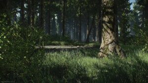 Escape from Tarkov Map Woods Pontos de Extração