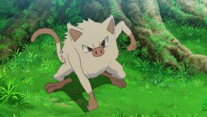 pokemon-mankey-anime