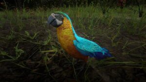 red dead parrot