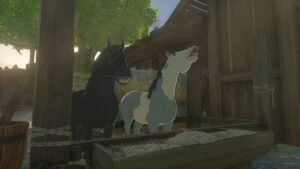 Tears of the Kingdom