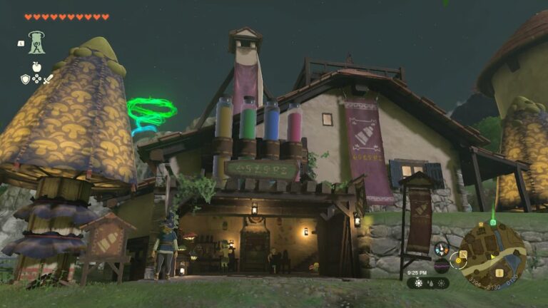 Best Paraglider Skins in Tears of the Kingdom, Ranked featured image