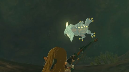 zelda-lágrimas-do-reino-inimigos-bubbulfrog Captura de tela de Link mirando em um bubbulfrog para o guia de inimigos de Zelda: Tears of the Kingdom