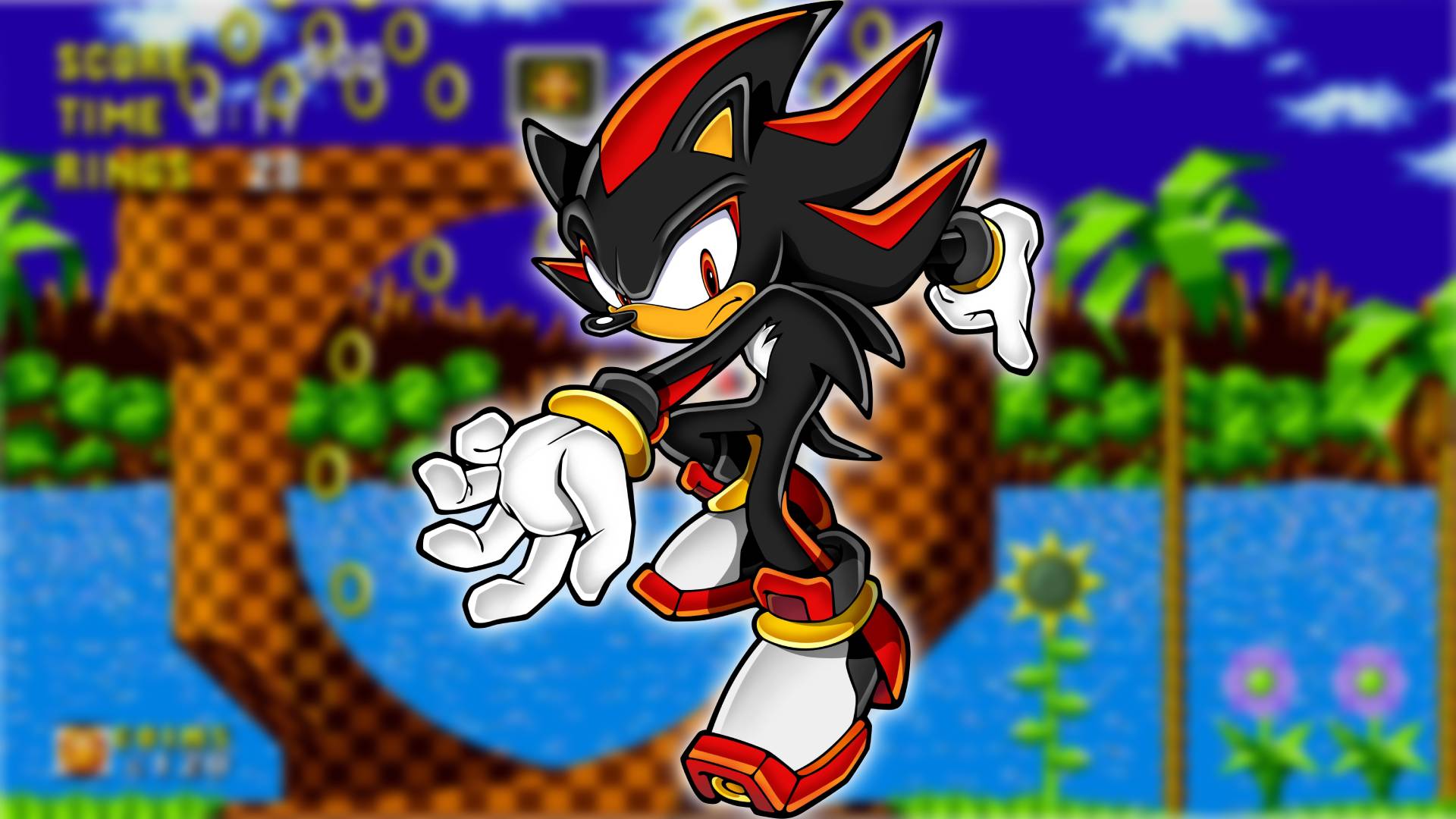 Sonic the Hedgehog: Shadow the Hedgehog está visível