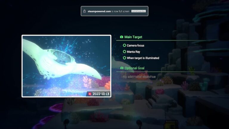 Dave the Diver Camera