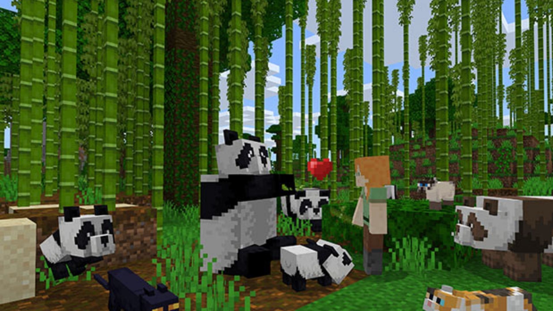 Download do Minecraft - um grupo de pandas mostrando amor a um humano no meio de uma floresta de bambu