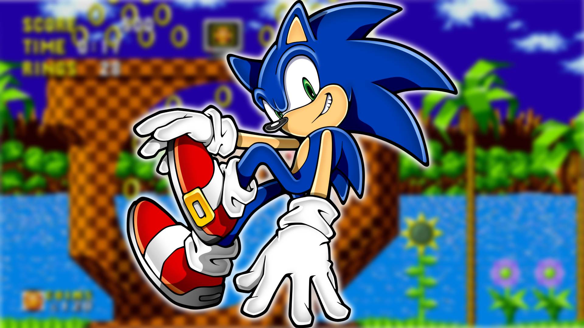 Sonic the Hedgehog: Sonic the Hedgehog é visível