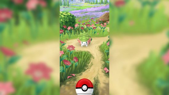 Pokemon Go Shaymin: Uma captura de tela mostra um treinador pegando Shaymin
