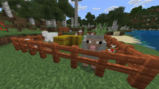 jogos de zoológico minecraft Um curral de ovelhas e galinhas em jogos de zoológico Minecraft