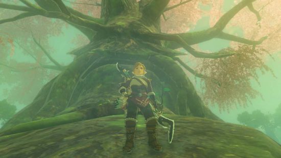 Um dos personagens de Zelda Tears of the Kingdom Link na frente da Árvore Deku