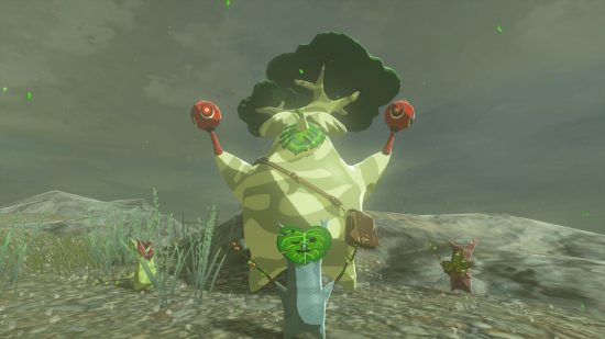 Um dos personagens de Zelda Tears of the Kingdom, Hestu, cercado por Koroks