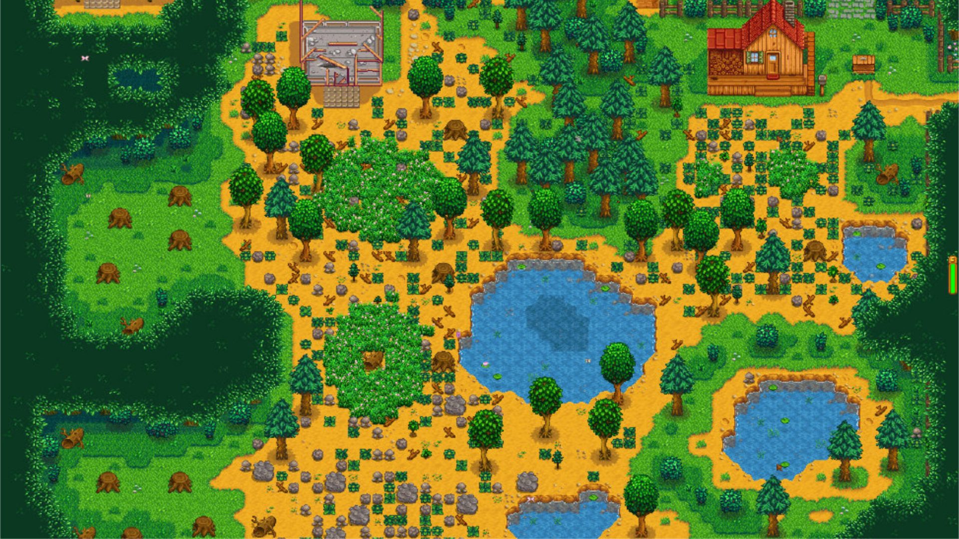 Uma visão do mapa florestal de Stardew Valley