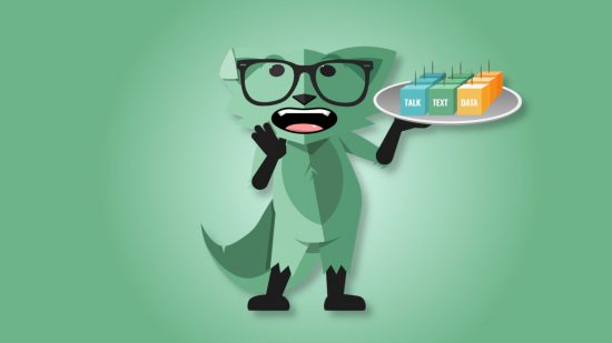 family-mint-mobile-plan Planos móveis da Mint: a raposa móvel da Mint segurando um prato com 'conversa' texto ' e 'dados' nele