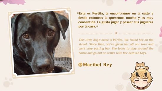 Trabalho de caridade Genshin Impact: uma citação de um dono de cachorro e uma linda foto