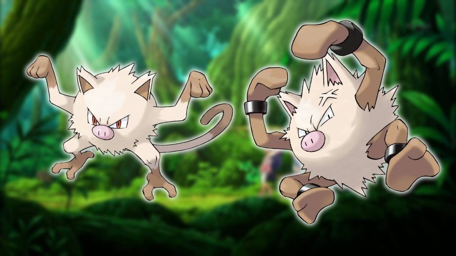 Pokémon Macaco: Com um Pokémon baseado na selva ainda ao fundo, uma imagem mostra os macacos Pokémon Mankey e Primeape