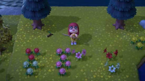 Melhoramento de flores ACNH - um personagem ao lado de algumas flores híbridas rosa