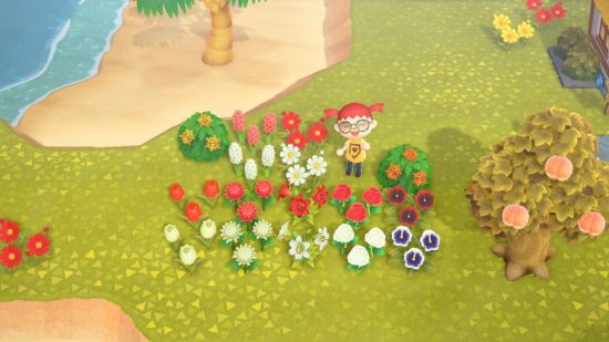 Melhoramento de flores ACNH - diferentes raças de flores em vermelho e branco em uma ilha