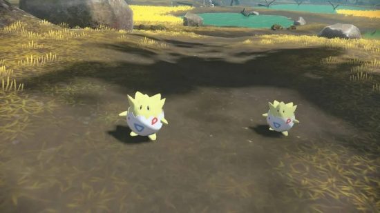 como evoluir-togepi (1) Como evoluir o Togepi: uma captura de tela de Pokémon Legends Arceus mostra Togepi vagando por um ambiente aberto
