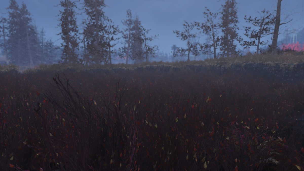 Fazenda do Mac Fallout 76