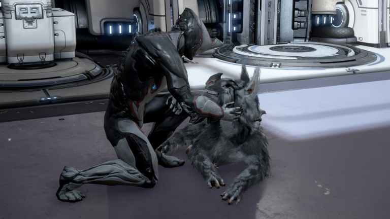 Todos os companheiros do Warframe, classificados - guias de jogos profissionais